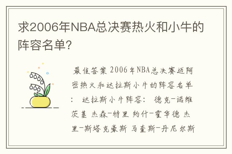 求2006年NBA总决赛热火和小牛的阵容名单？