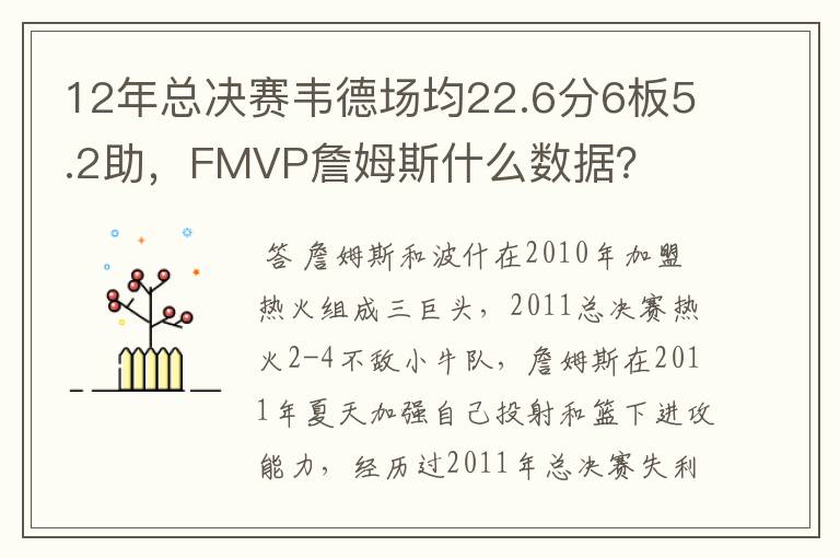 12年总决赛韦德场均22.6分6板5.2助，FMVP詹姆斯什么数据？