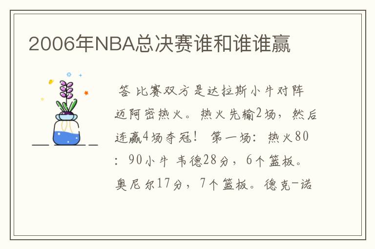 2006年NBA总决赛谁和谁谁赢