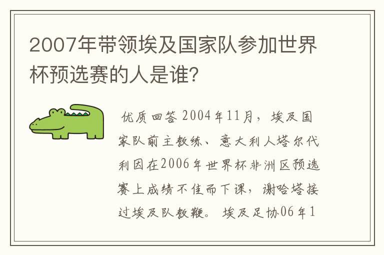 2007年带领埃及国家队参加世界杯预选赛的人是谁？