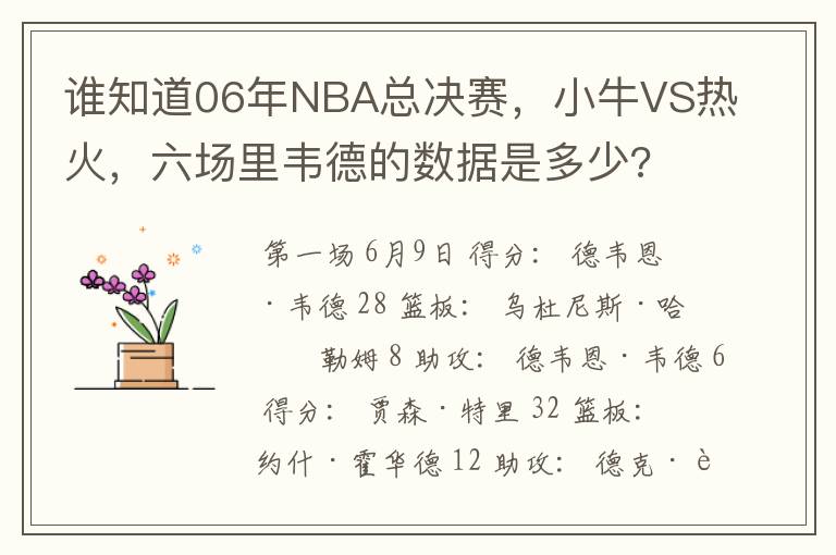 谁知道06年NBA总决赛，小牛VS热火，六场里韦德的数据是多少?