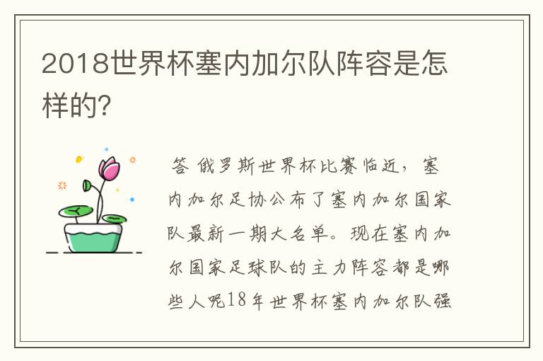 2018世界杯塞内加尔队阵容是怎样的？