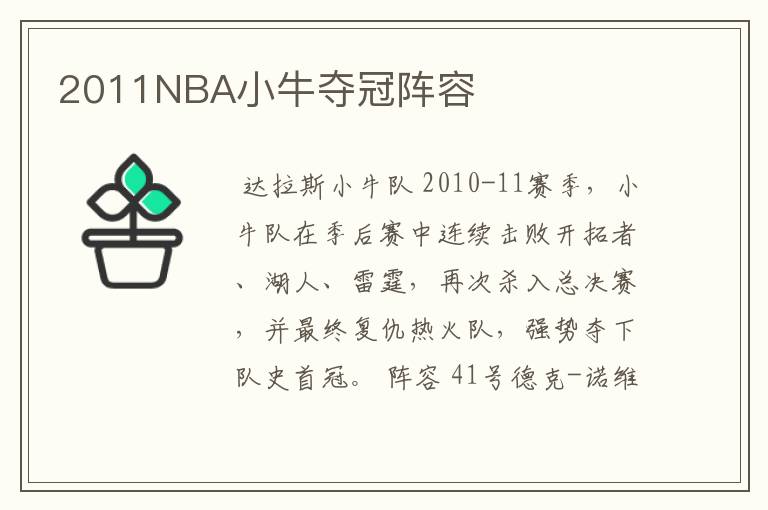 2011NBA小牛夺冠阵容