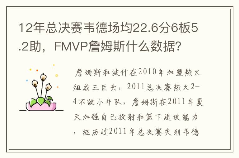 12年总决赛韦德场均22.6分6板5.2助，FMVP詹姆斯什么数据？