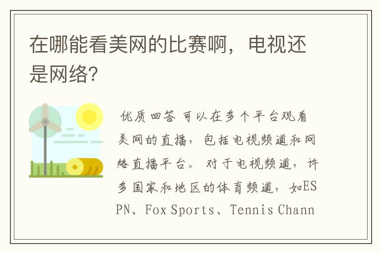 在哪能看美网的比赛啊，电视还是网络？