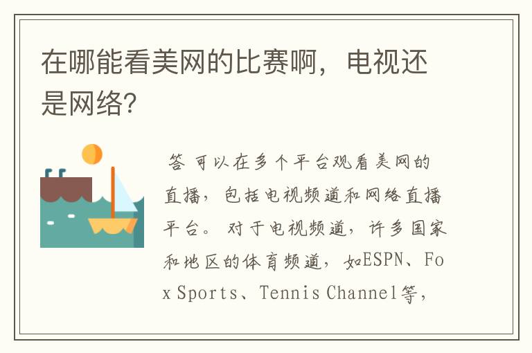 在哪能看美网的比赛啊，电视还是网络？