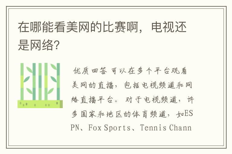 在哪能看美网的比赛啊，电视还是网络？