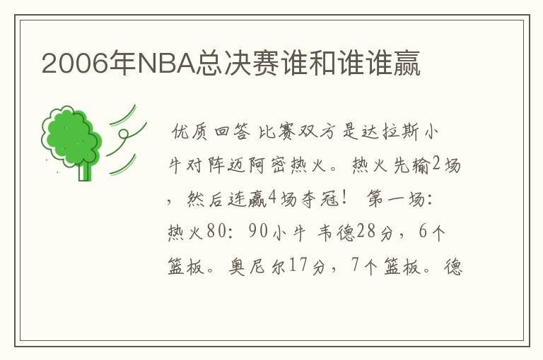 2006年NBA总决赛谁和谁谁赢