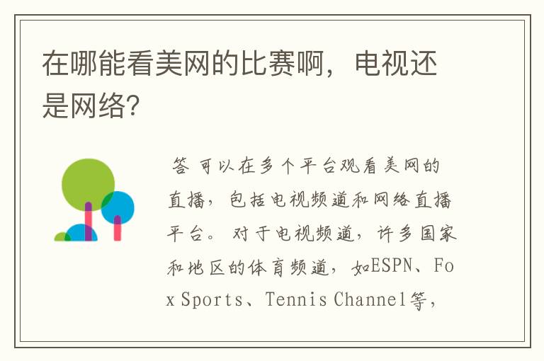 在哪能看美网的比赛啊，电视还是网络？