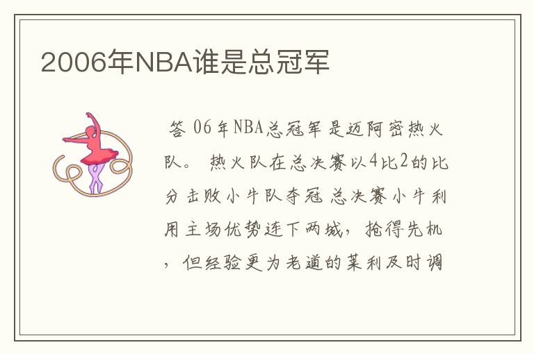 2006年NBA谁是总冠军