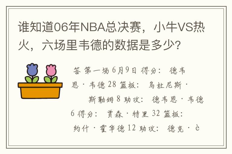 谁知道06年NBA总决赛，小牛VS热火，六场里韦德的数据是多少?