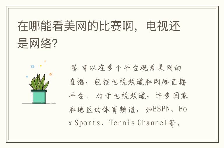 在哪能看美网的比赛啊，电视还是网络？