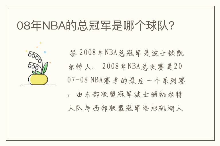 08年NBA的总冠军是哪个球队？