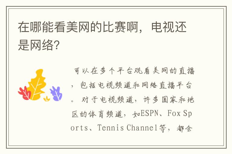 在哪能看美网的比赛啊，电视还是网络？