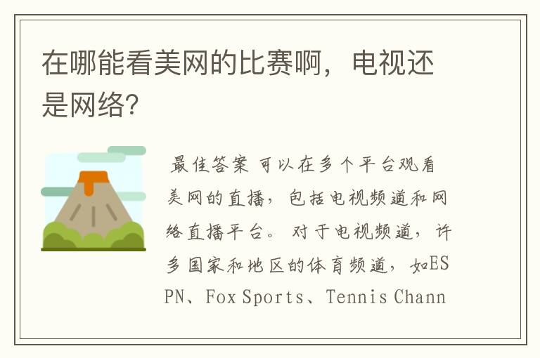 在哪能看美网的比赛啊，电视还是网络？