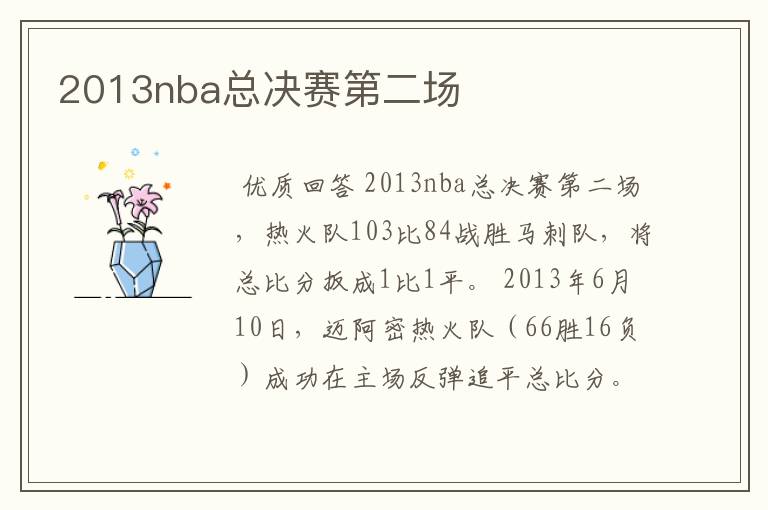 2013nba总决赛第二场