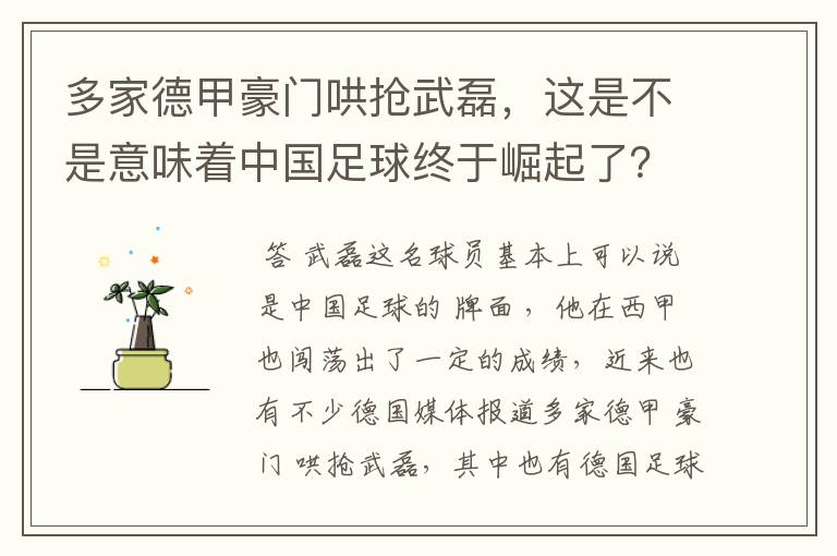 多家德甲豪门哄抢武磊，这是不是意味着中国足球终于崛起了？