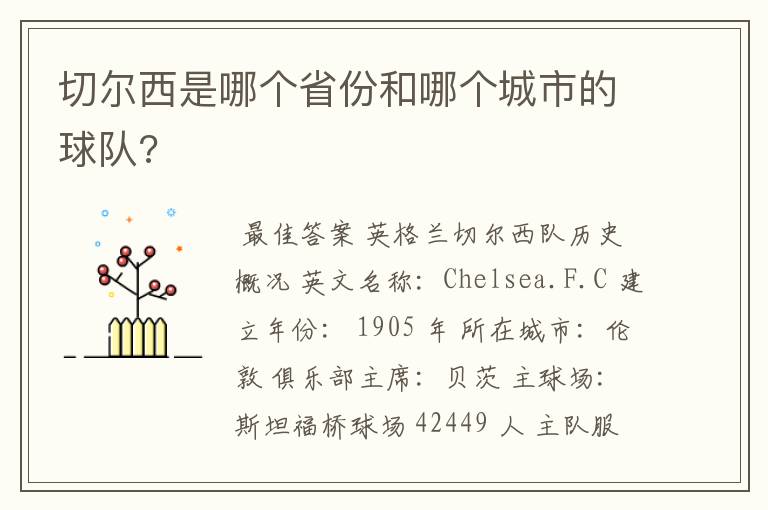 切尔西是哪个省份和哪个城市的球队?