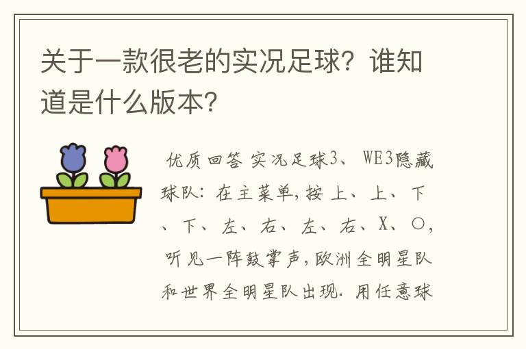 关于一款很老的实况足球？谁知道是什么版本？