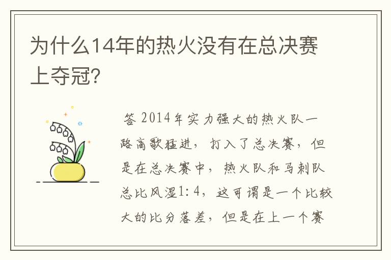 为什么14年的热火没有在总决赛上夺冠？