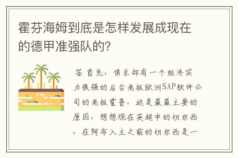 霍芬海姆到底是怎样发展成现在的德甲准强队的？