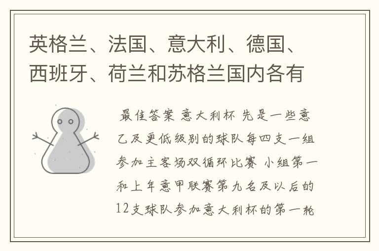 英格兰、法国、意大利、德国、西班牙、荷兰和苏格兰国内各有什么杯赛？