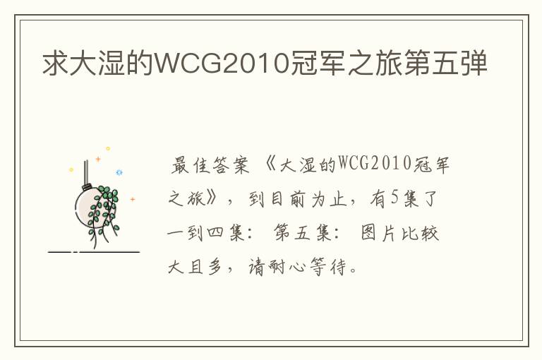 求大湿的WCG2010冠军之旅第五弹