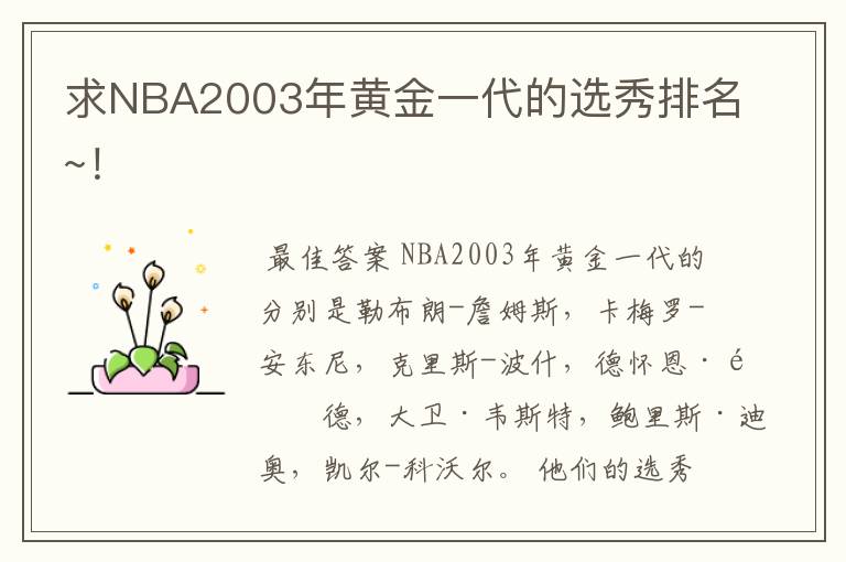 求NBA2003年黄金一代的选秀排名~！