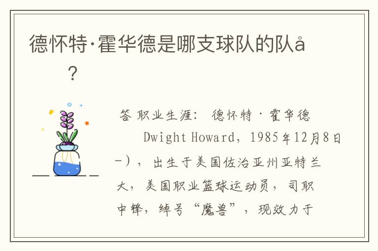 德怀特·霍华德是哪支球队的队员？