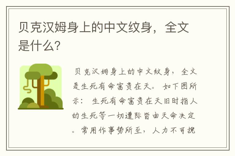 贝克汉姆身上的中文纹身，全文是什么？