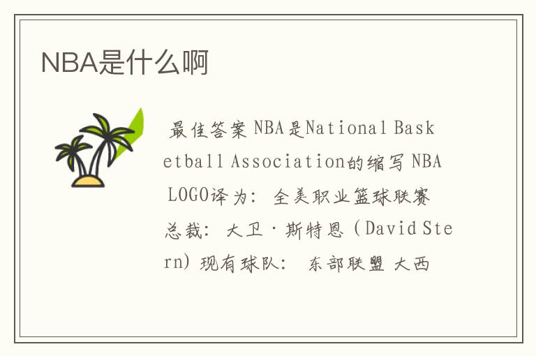 NBA是什么啊