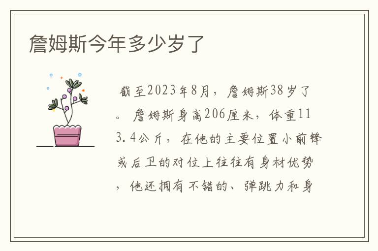 詹姆斯今年多少岁了