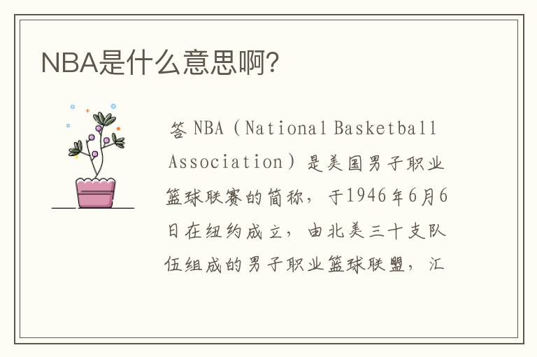 NBA是什么意思啊？