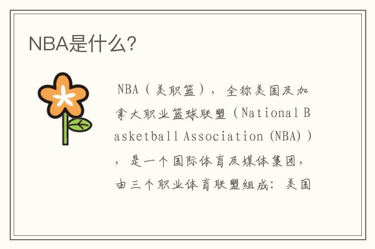 NBA是什么？