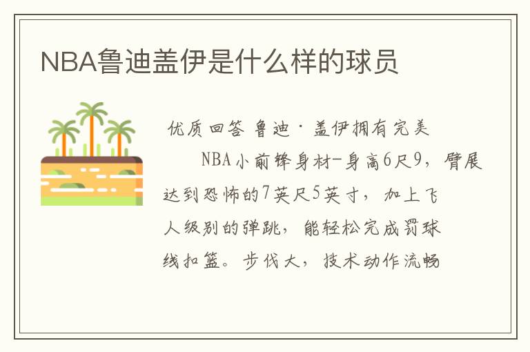 NBA鲁迪盖伊是什么样的球员