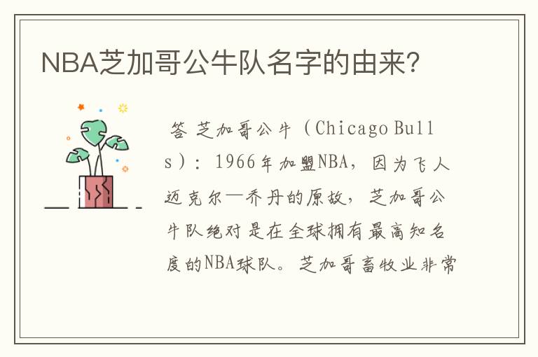 NBA芝加哥公牛队名字的由来？