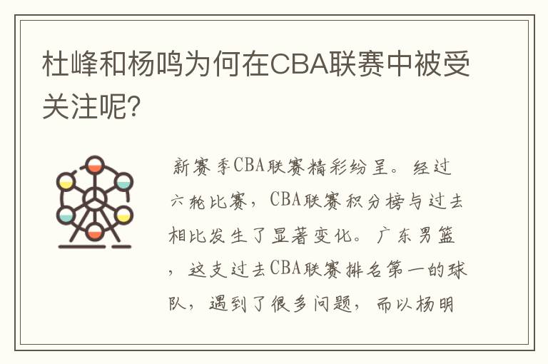 杜峰和杨鸣为何在CBA联赛中被受关注呢？