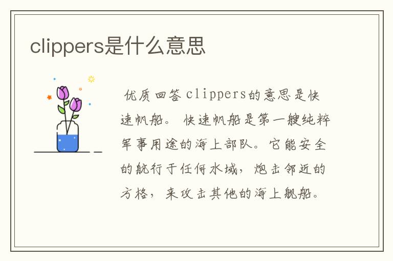 clippers是什么意思