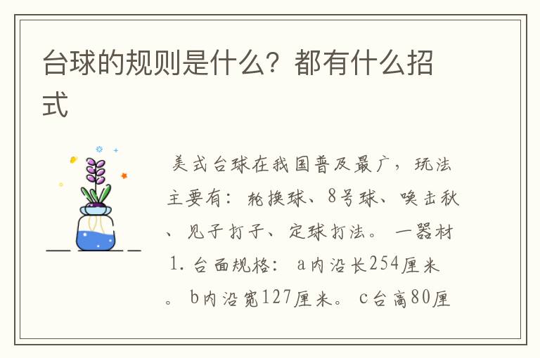 台球的规则是什么？都有什么招式