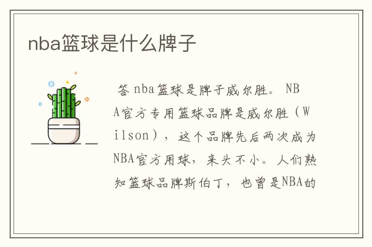 nba篮球是什么牌子