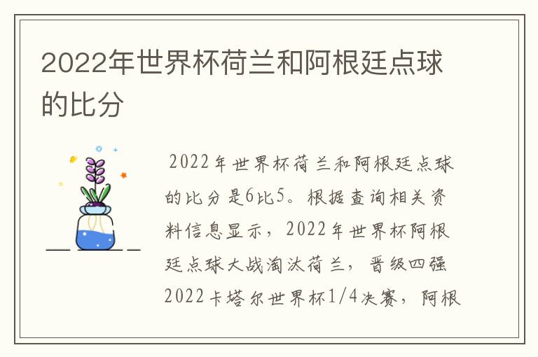 2022年世界杯荷兰和阿根廷点球的比分