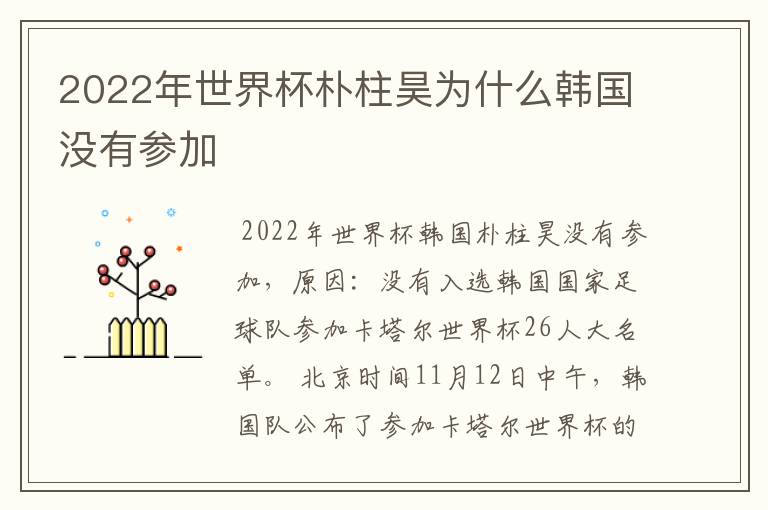 2022年世界杯朴柱昊为什么韩国没有参加