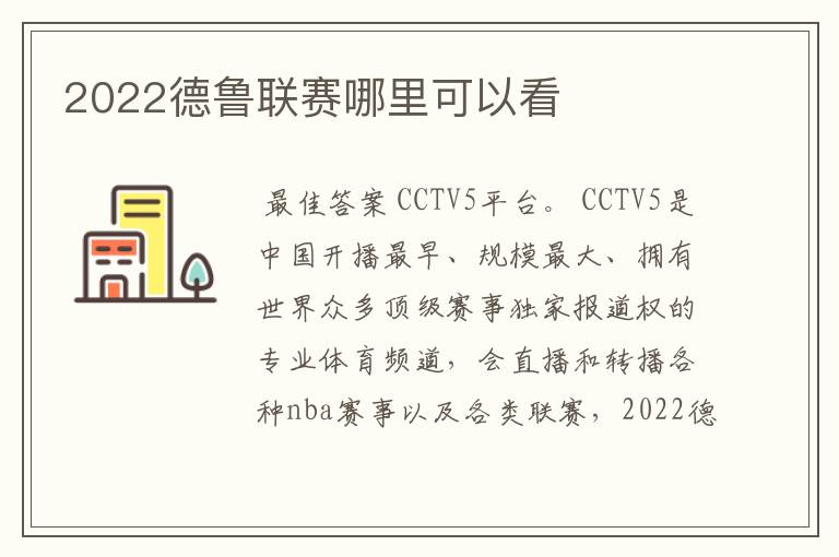 2022德鲁联赛哪里可以看