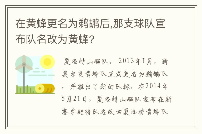 在黄蜂更名为鹈鹕后,那支球队宣布队名改为黄蜂?