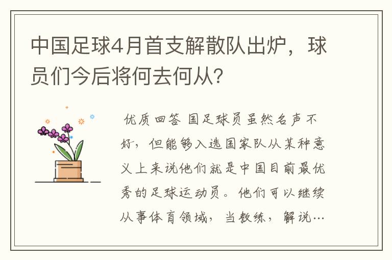 中国足球4月首支解散队出炉，球员们今后将何去何从？