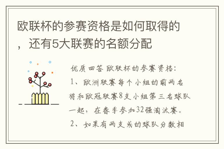 欧联杯的参赛资格是如何取得的，还有5大联赛的名额分配