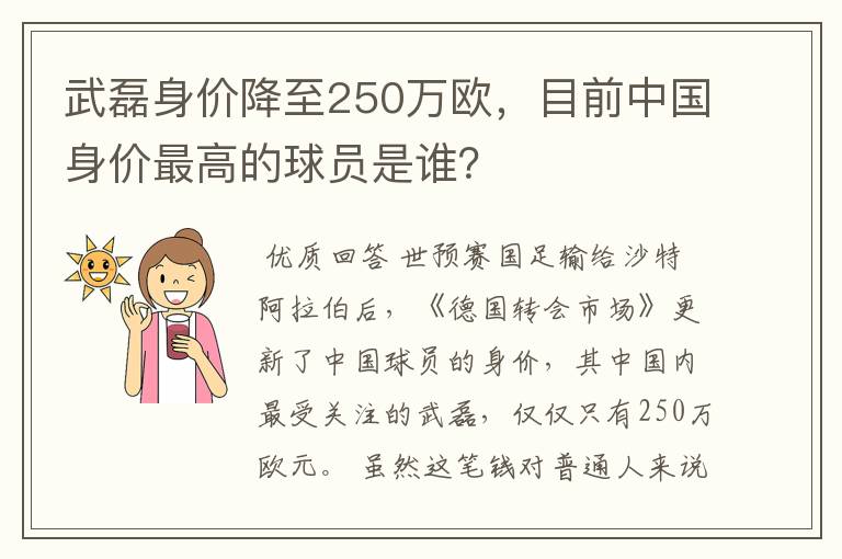 武磊身价降至250万欧，目前中国身价最高的球员是谁？