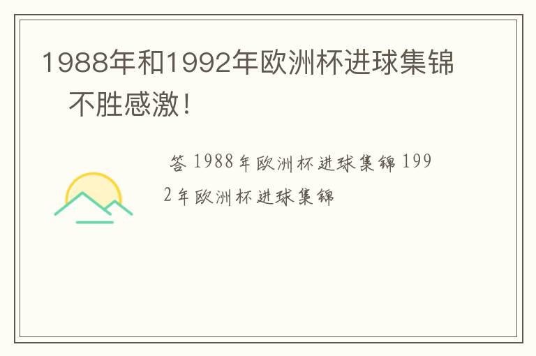 1988年和1992年欧洲杯进球集锦   不胜感激！