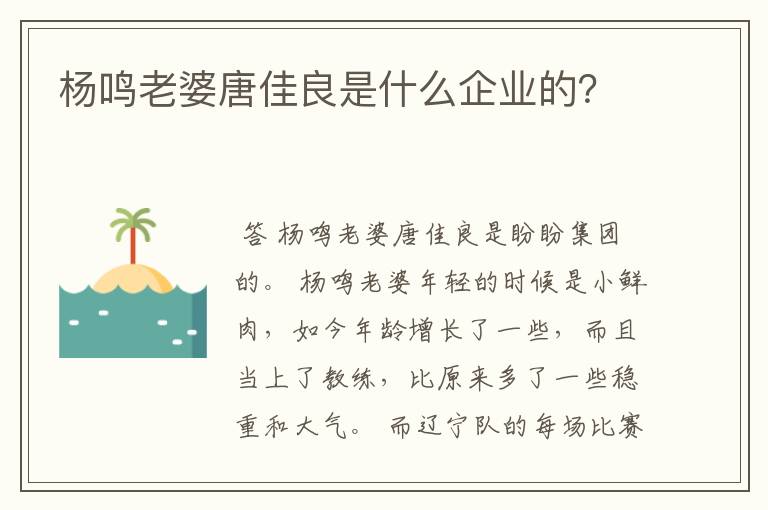 杨鸣老婆唐佳良是什么企业的？