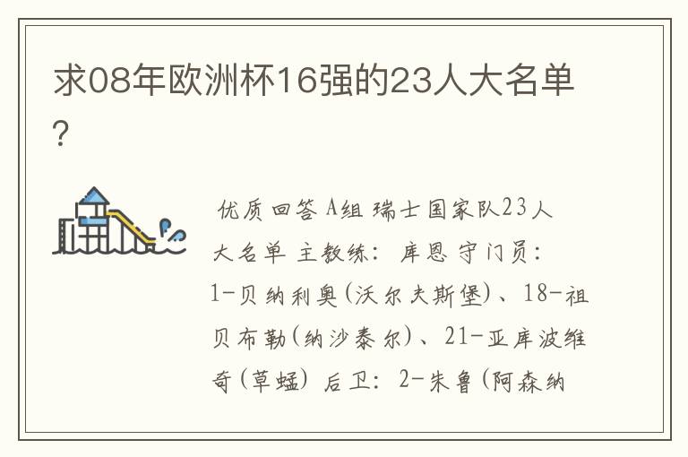 求08年欧洲杯16强的23人大名单？